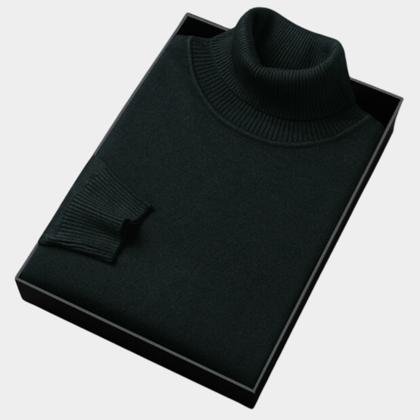 Janosch | Herren Frühling Rollkragenpullover