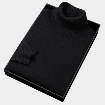 Janosch | Herren Frühling Rollkragenpullover