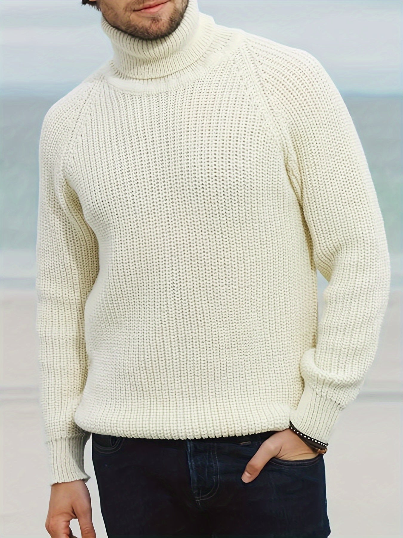 Malte | Herren Warmer Gerippter Rollkragenpullover