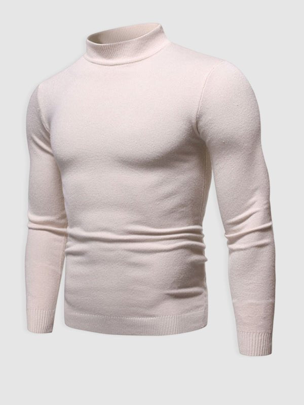 Walter | Herren Frühlings Slim Fit Rollkragenpullover